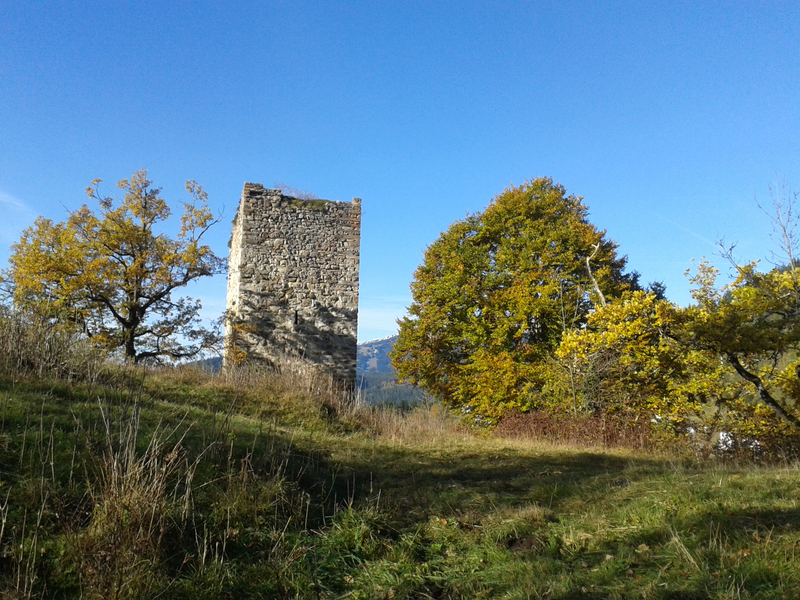 Die Burg Canaschal (Hohentrins) ist das Wahrzeichen und das Wappenbild von Trin.