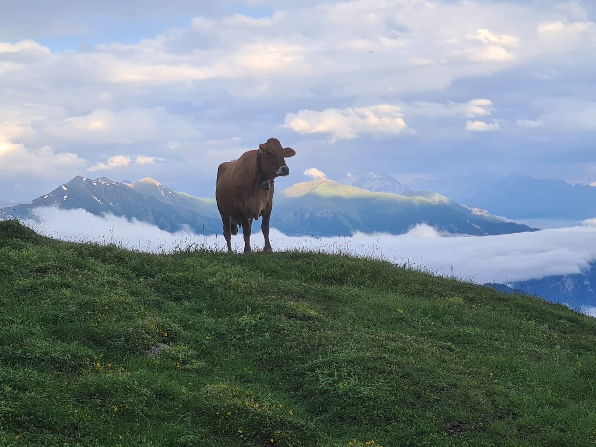 Schöner Ausblick von der Alp Mora