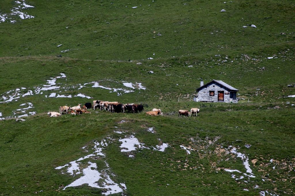 Hütte des Obersäss auf der Alp Mora