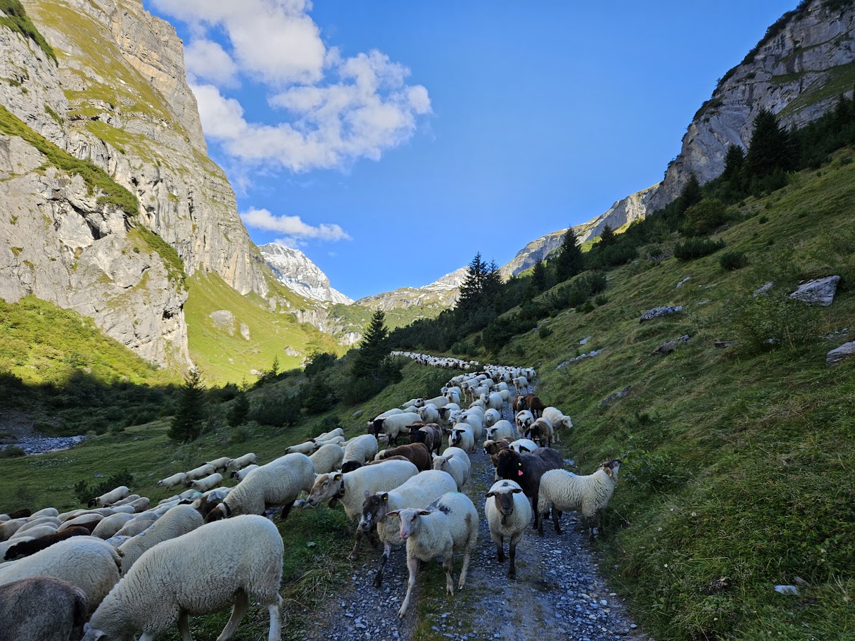 Es geht nach dem Schnee talwärts