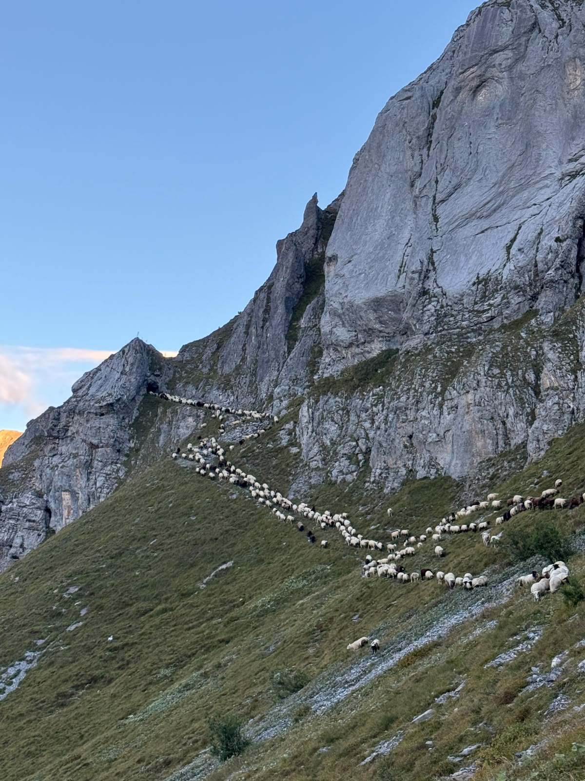 runter vom Gagliaretsch
