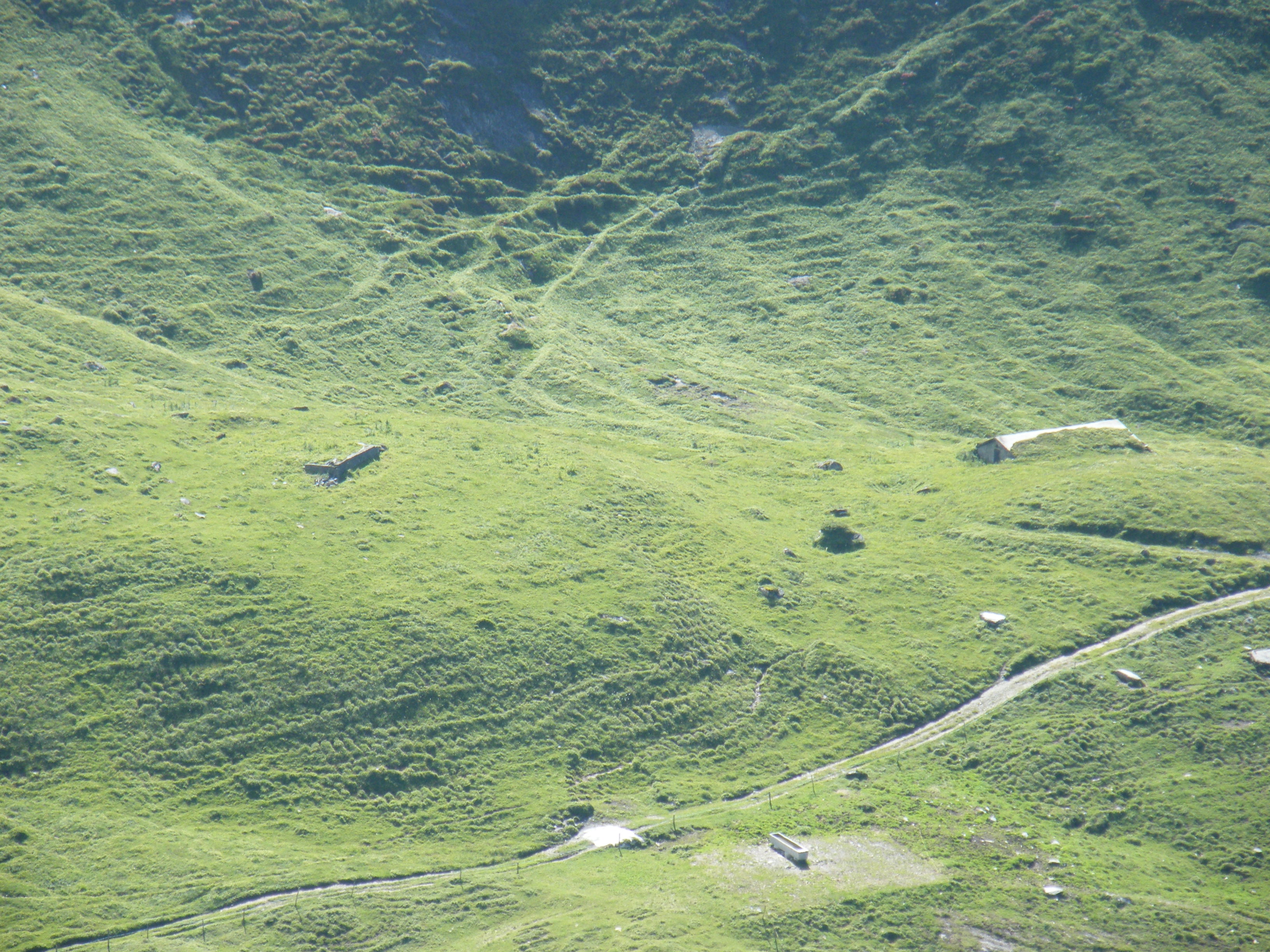 Hüttenfundament und Käsekeller Muletg in Alp Mora