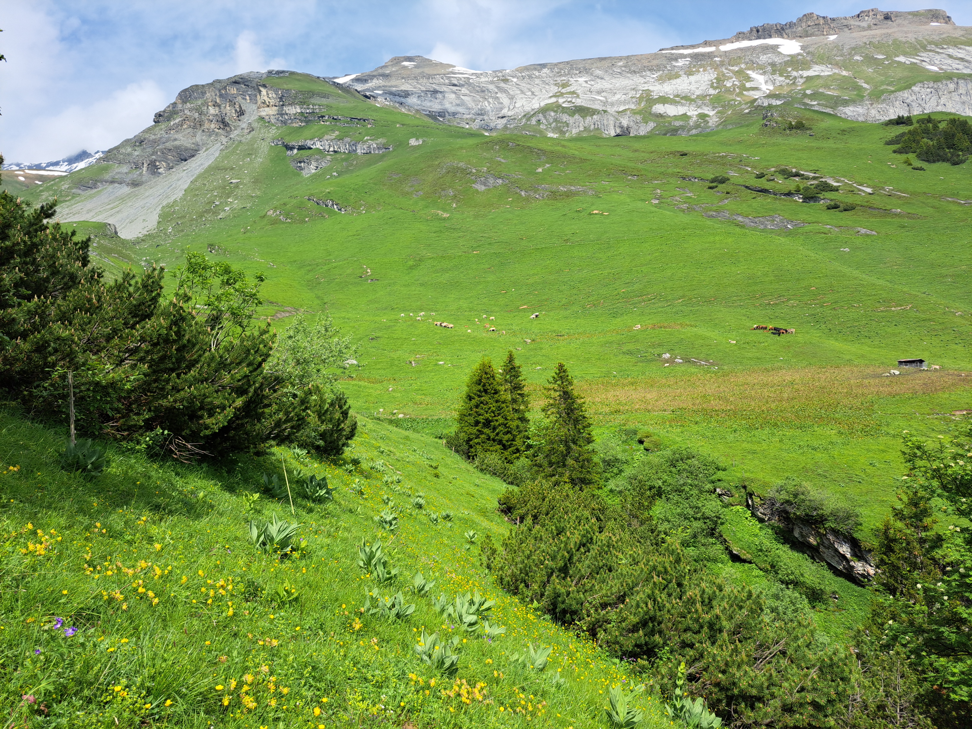 Blick auf den Murec und den Tschep