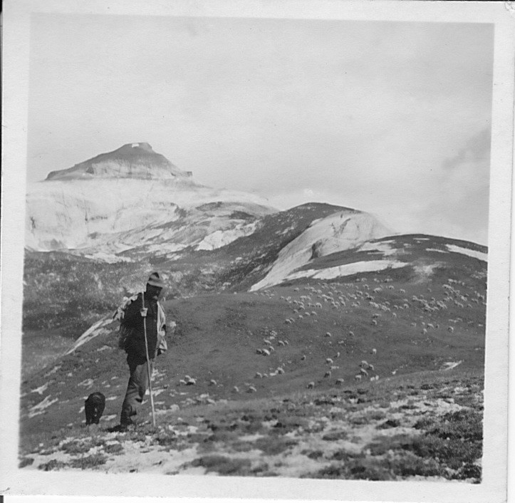 Hans Stoffel 1955 auf der Alp Mora